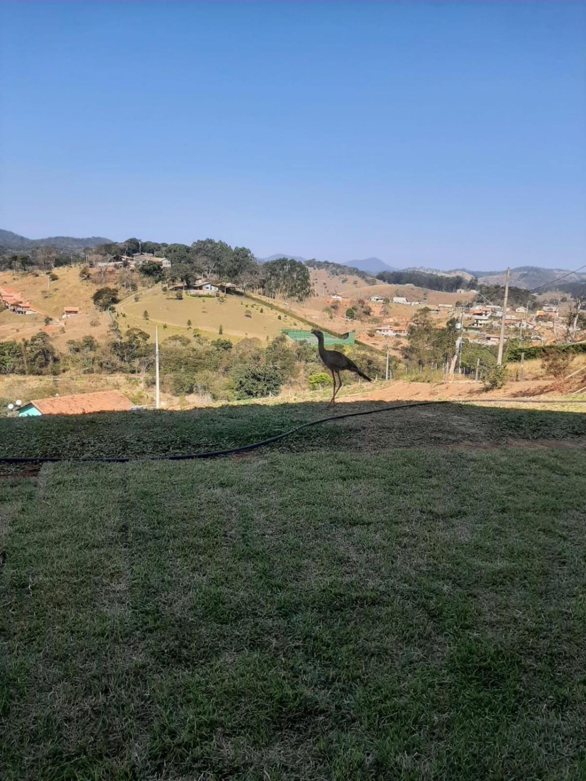 Recanto Alvorada - Casa De Campo Santo Antônio do Pinhal Eksteriør billede